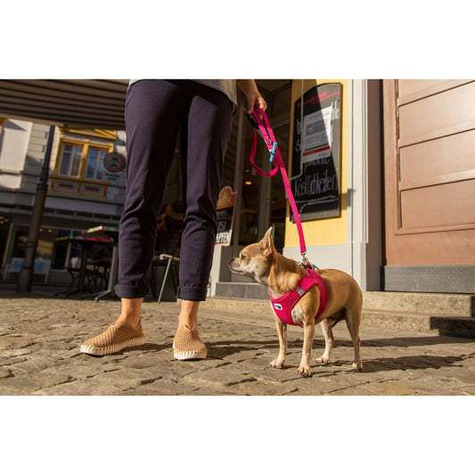 Curli Lead - Fuschia