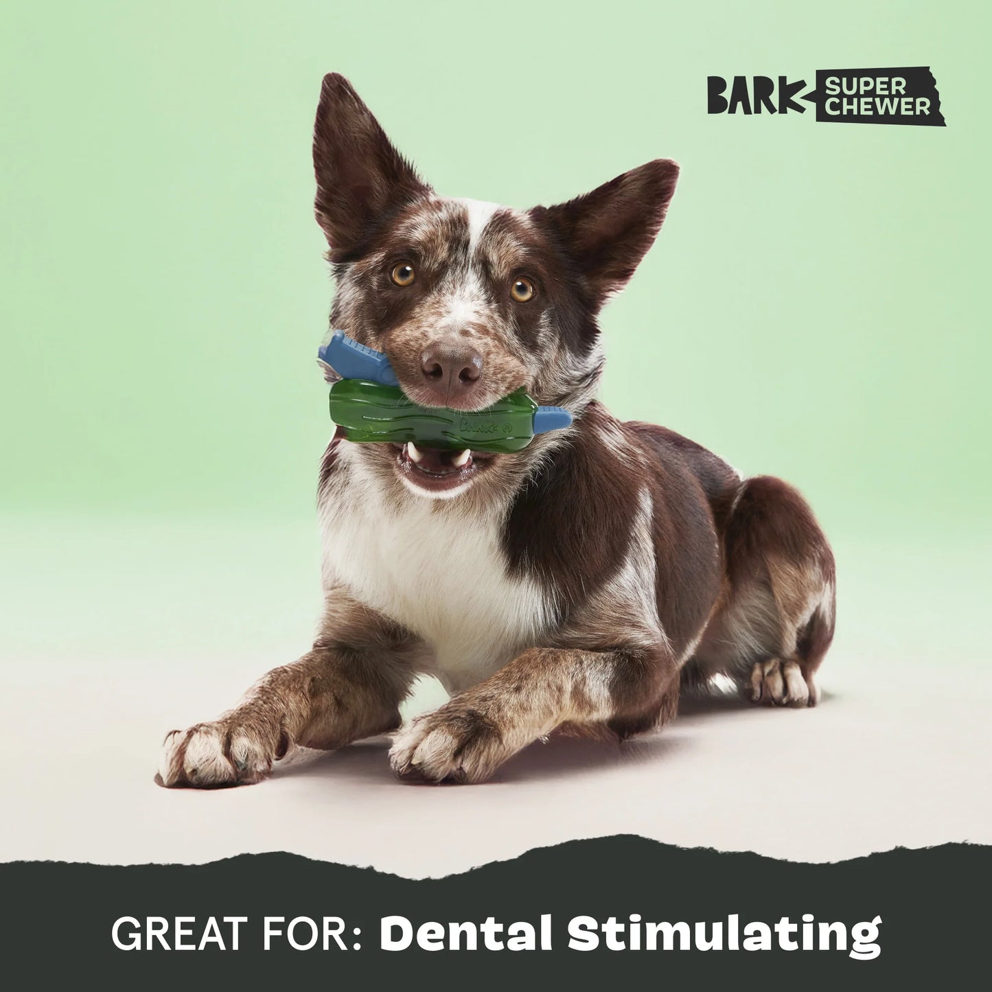 BARK Crocness Monster Dog Toy