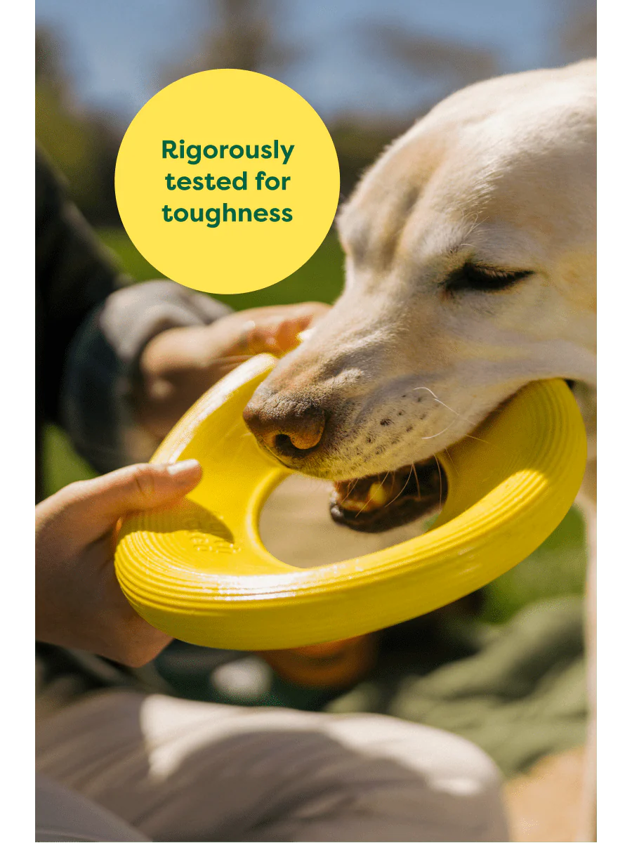 Earth Rated Dog Flyer Toy – Soft, Safe & Easy-to-Throw Flying Disc