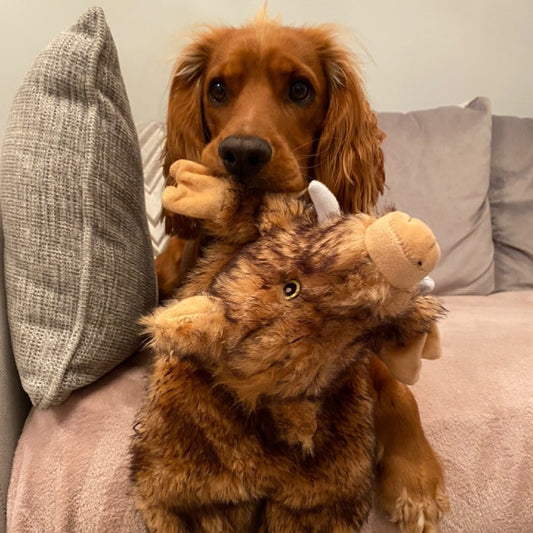 Ancol Heritage Huge Hog Dog Toy