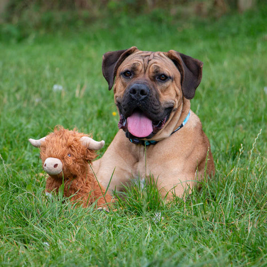 Ancol Heritage Fergus Highland Cow Dog Toy