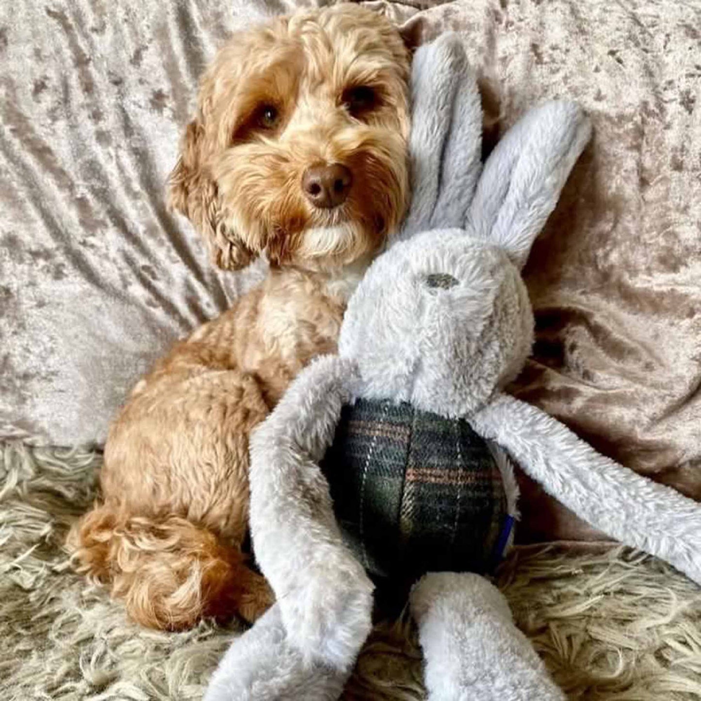 Ancol Heritage Floppy Bunny Dog Toy