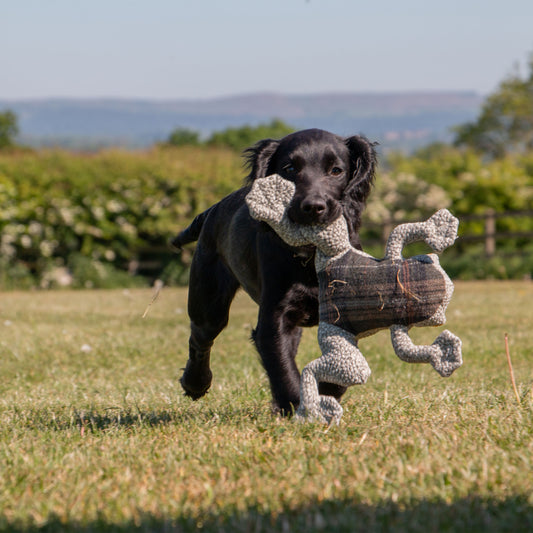 Ancol Heritage Toby Toad MIDI Dog Toy
