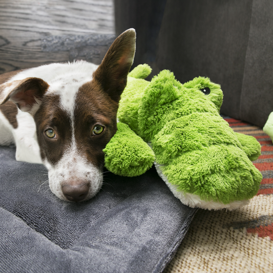 KONG COZIE JUMBO ALI