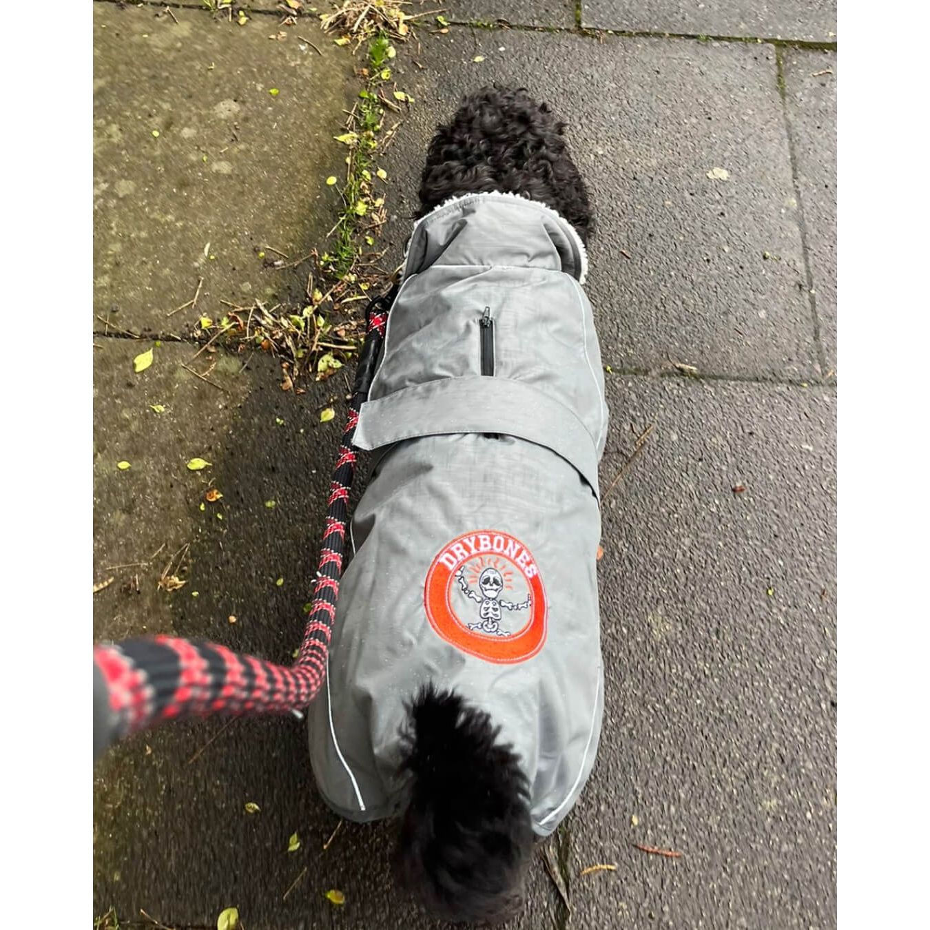 DRYBONES Waterproof Dog Coat - Grey