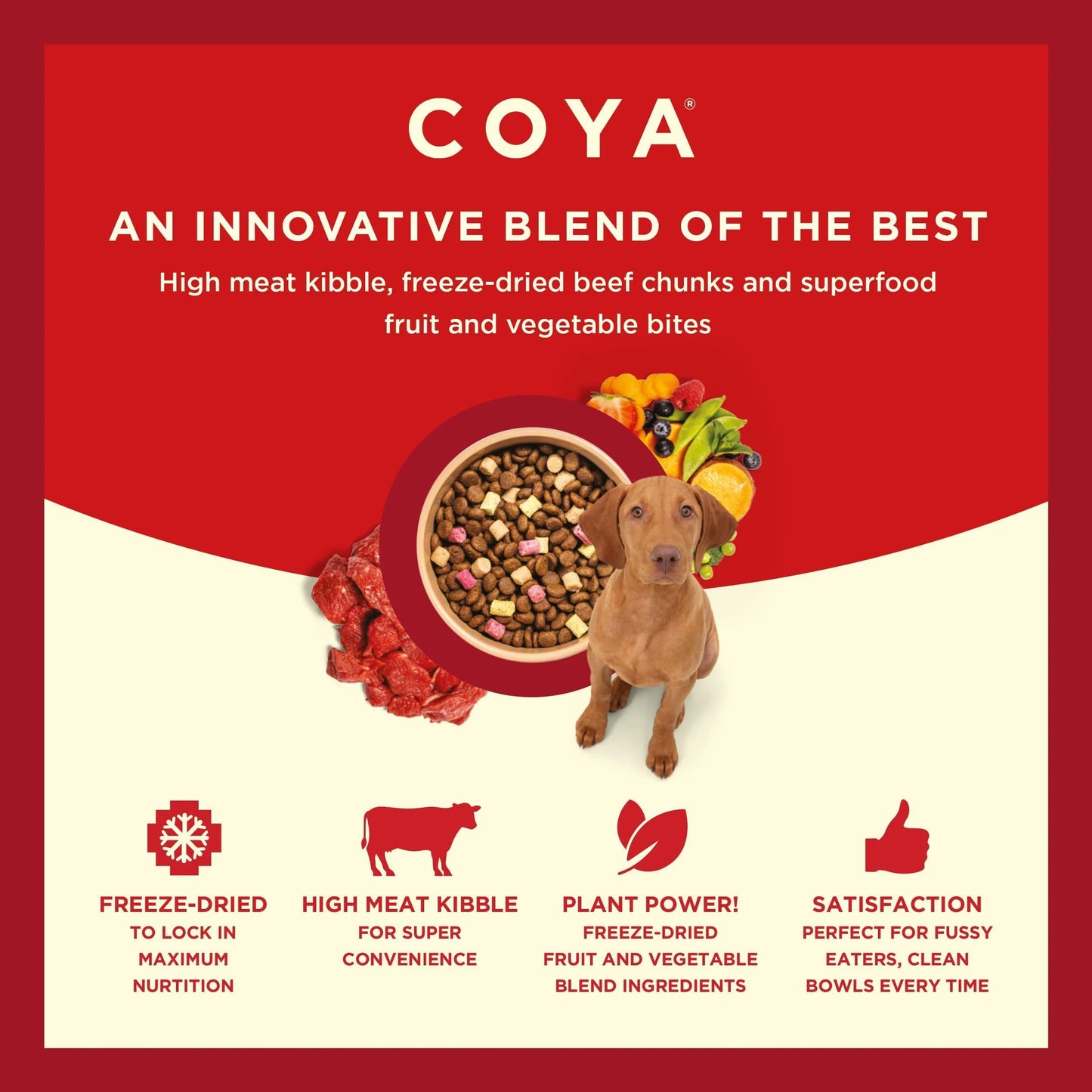 COYA Kibble Plus - Beef 1.5kg
