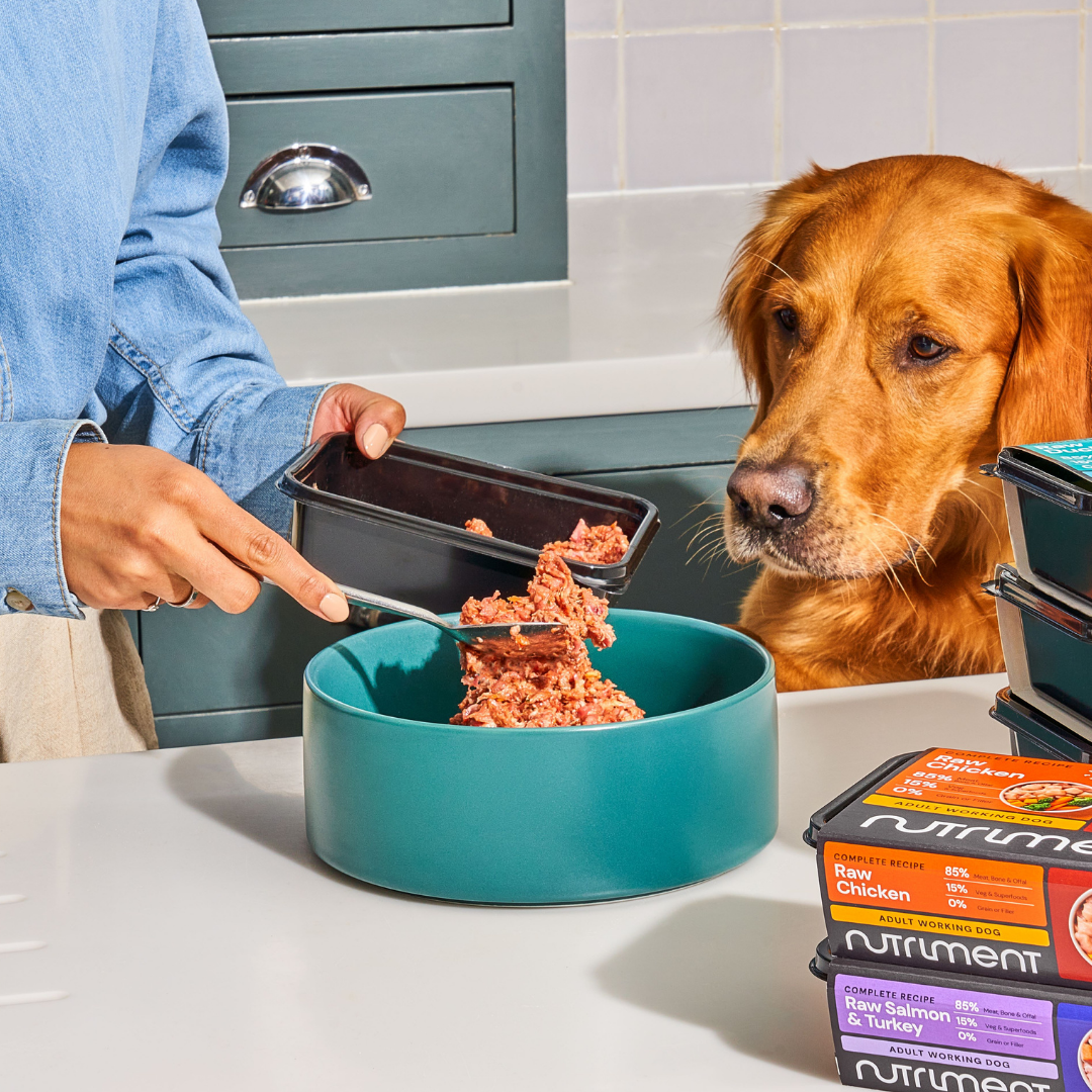 Nutriment Venison with Chicken - 500g