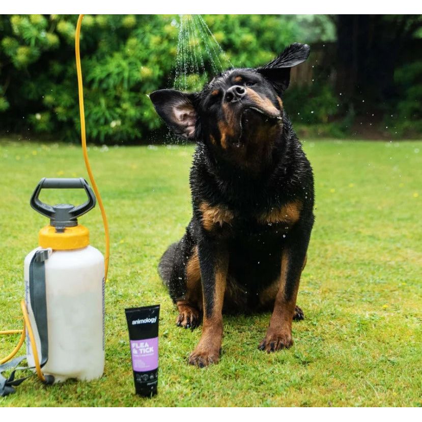 Animology - Flea & Tick Dog Shampoo