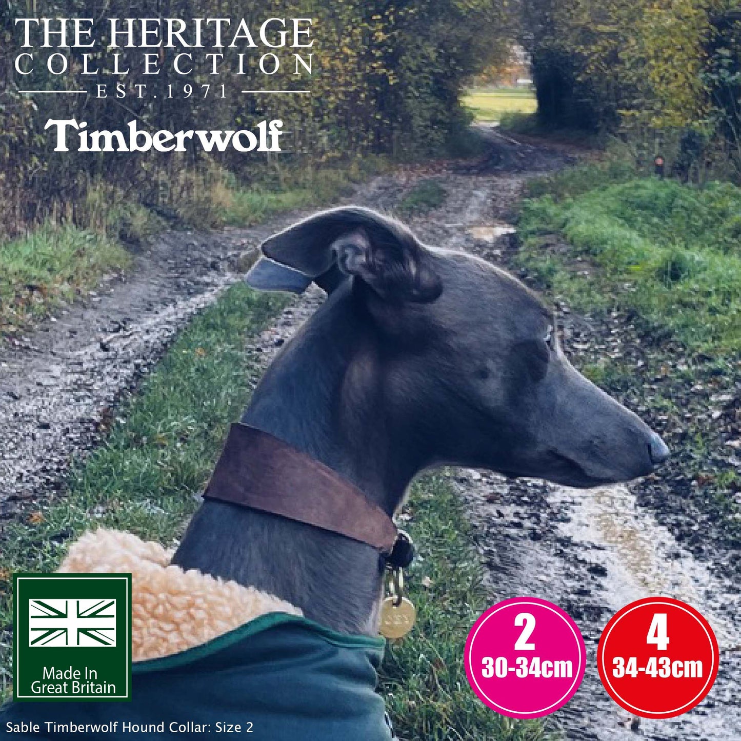 Timberwolf Greyhound Leather Collar 34 - 43 cm - Blue