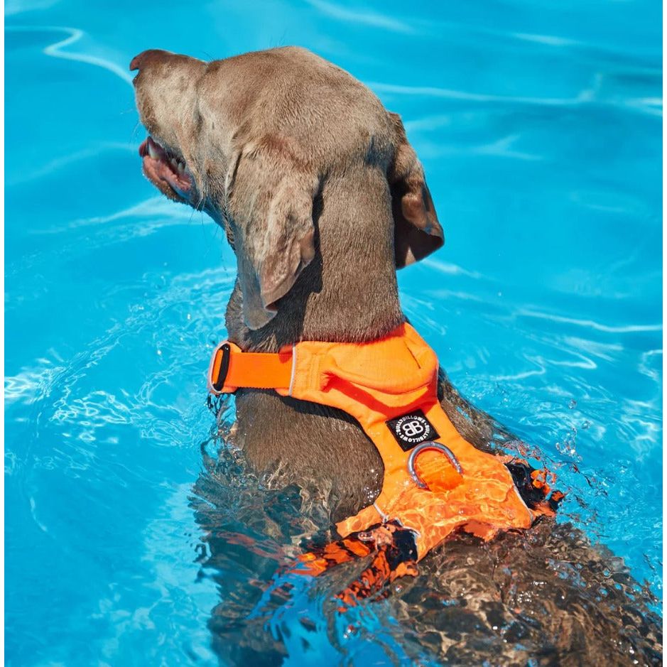 Bully Billows Air Mesh Harness - Anti-Pull, With Handle - Olive Green