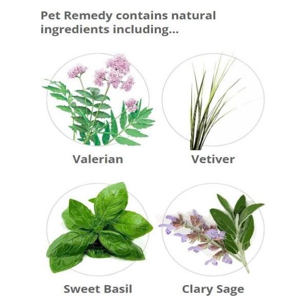 Calming Wipes pack of 12