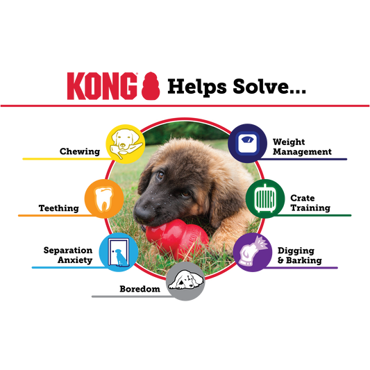 KONG PUPPY