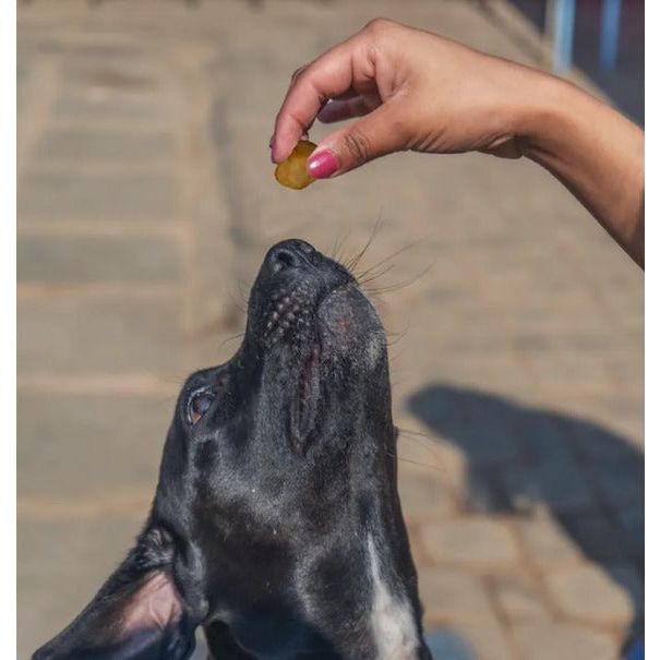 Mini Pops: Mini bite-sized Dog Training Treats