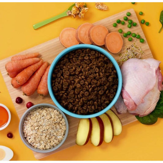 Puppy Fuel for All Dog Breeds