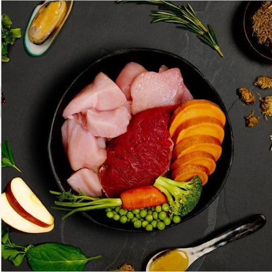 Canagan Puppy Feast Tin - 400g