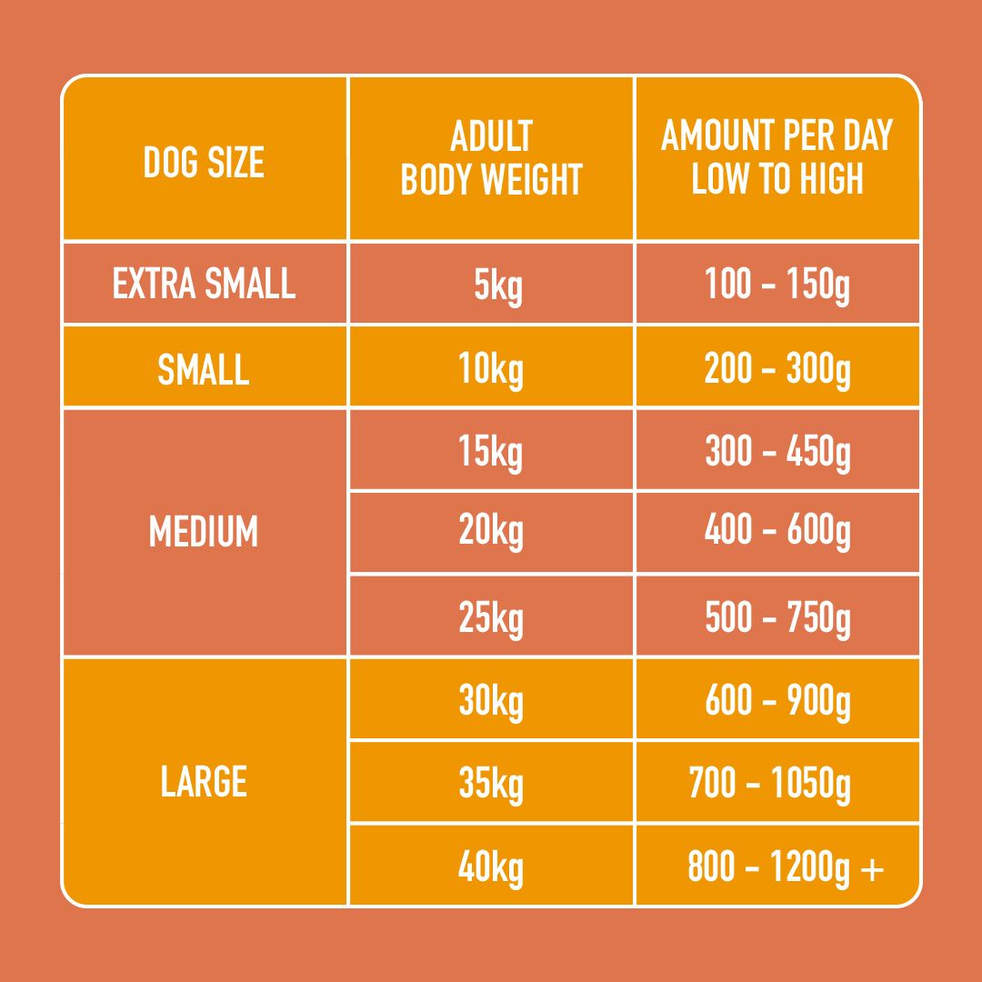 Nutriment Recovery Support - 500g