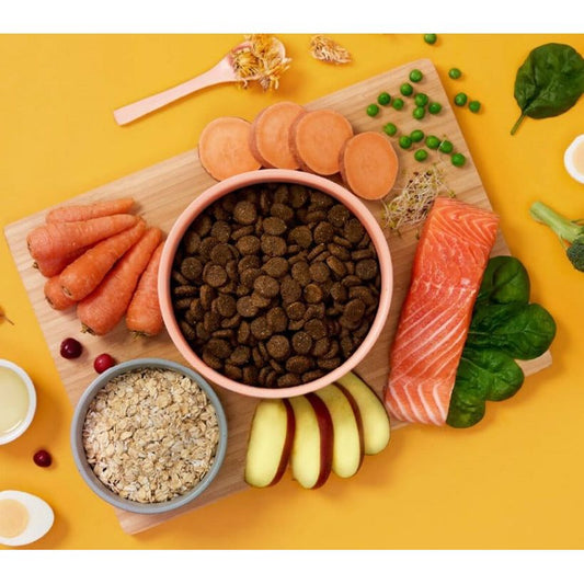 Symply Salmon for All Dog Breeds