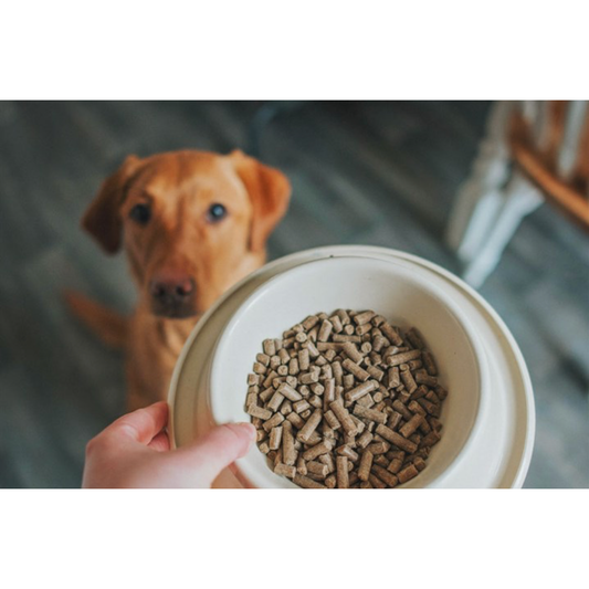 Tribal Fresh Pressed™ Adult Turkey 2Kg