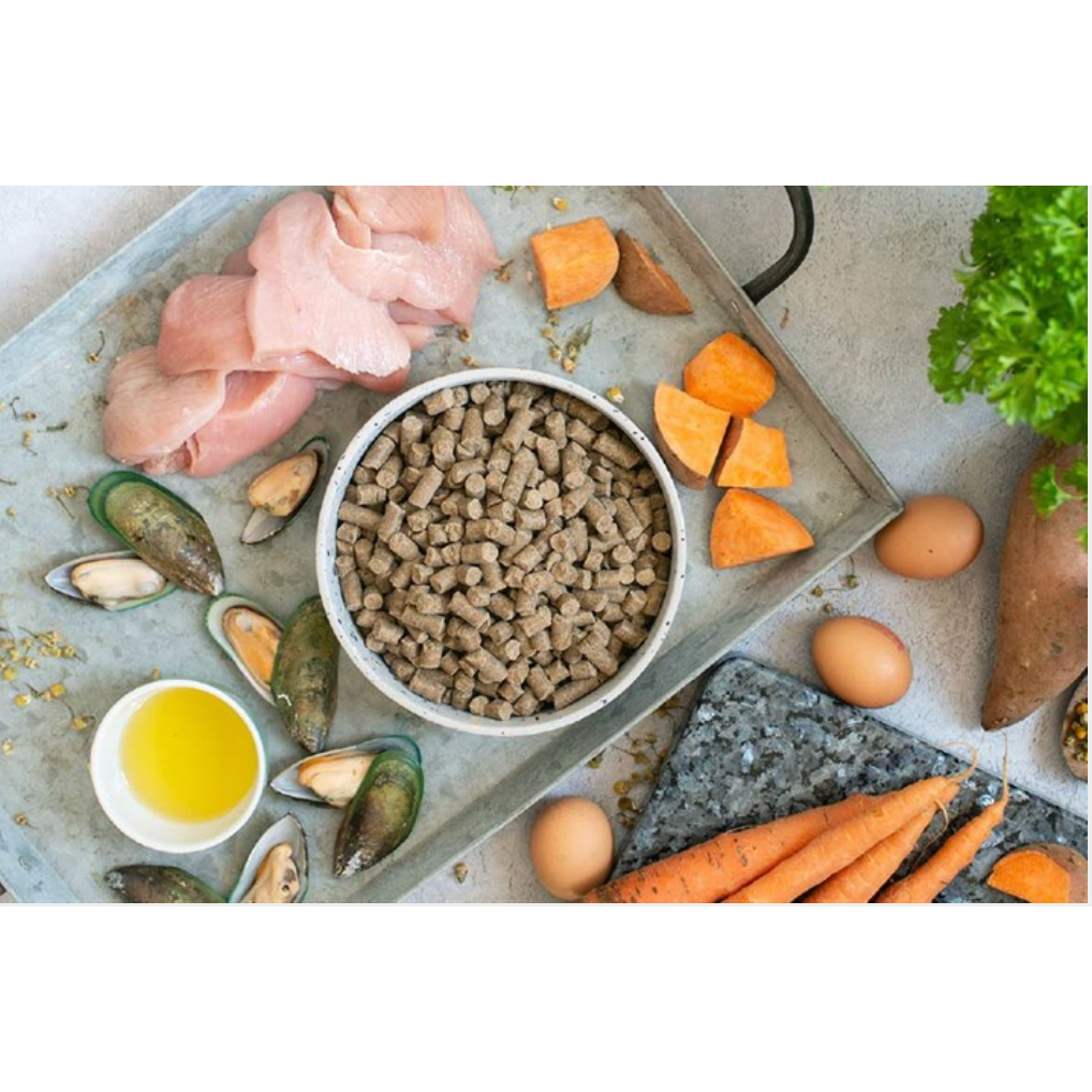 Tribal Fresh Pressed™ Adult Turkey 2Kg