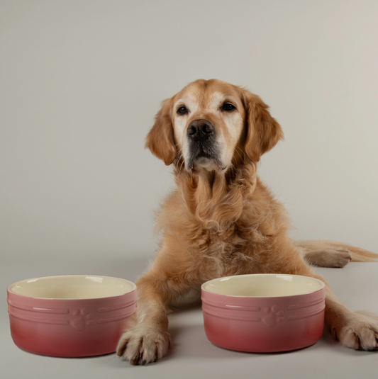 Scruffs Ombre Dog Food / Water Bowl – Pink