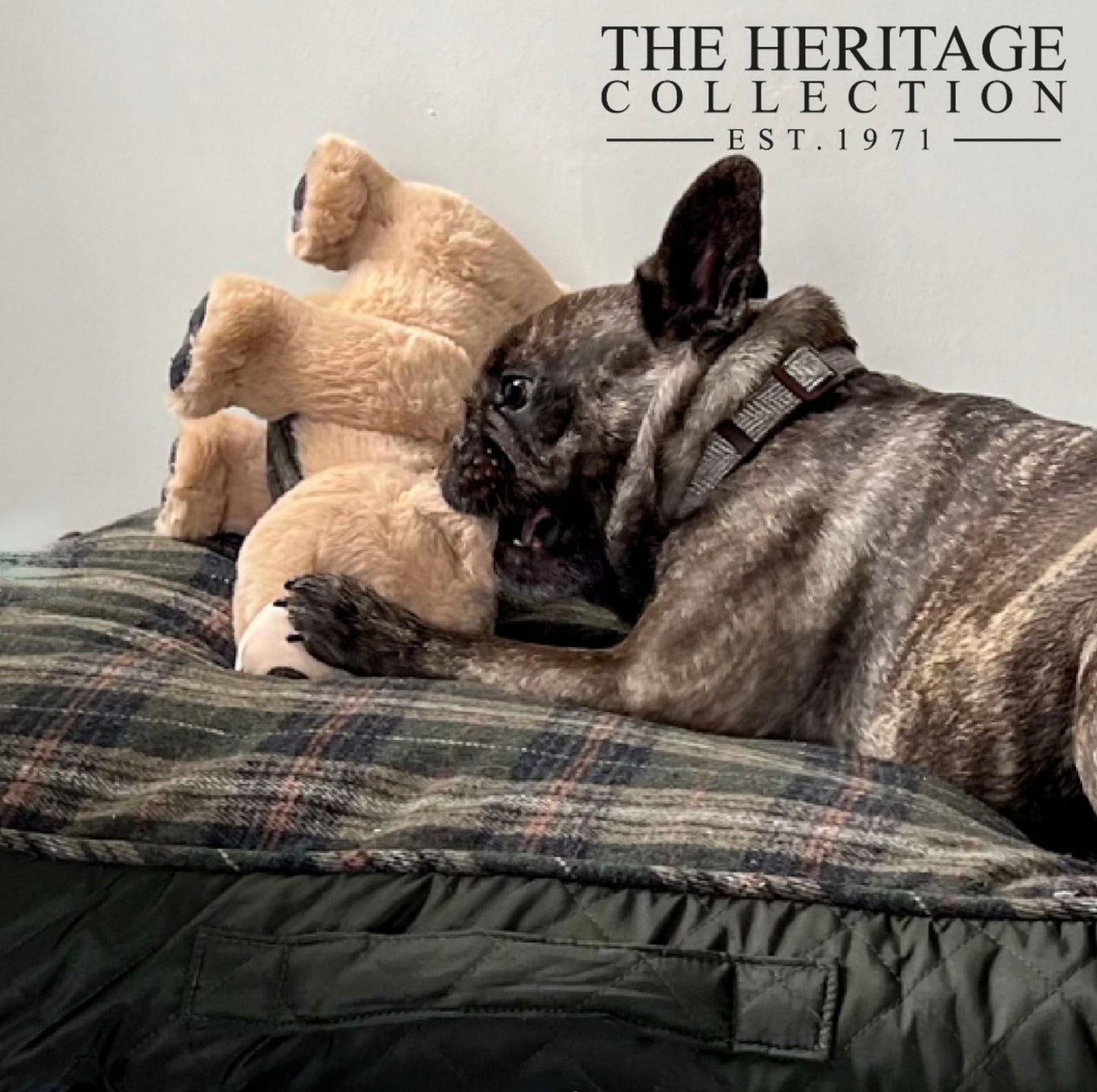 Ancol Heritage Tartan Bear Dog Toy