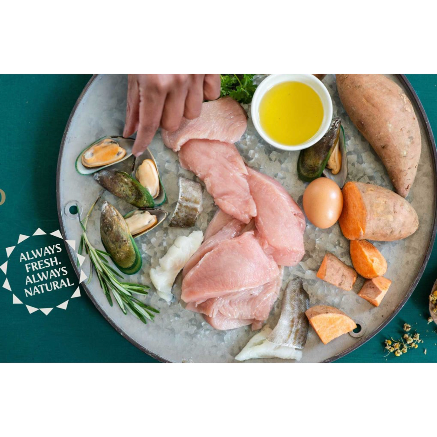 Tribal Fresh Pressed™ Adult Turkey 2Kg
