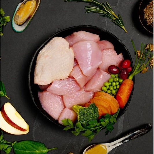 Canagan Senior Feast Tin - 400g