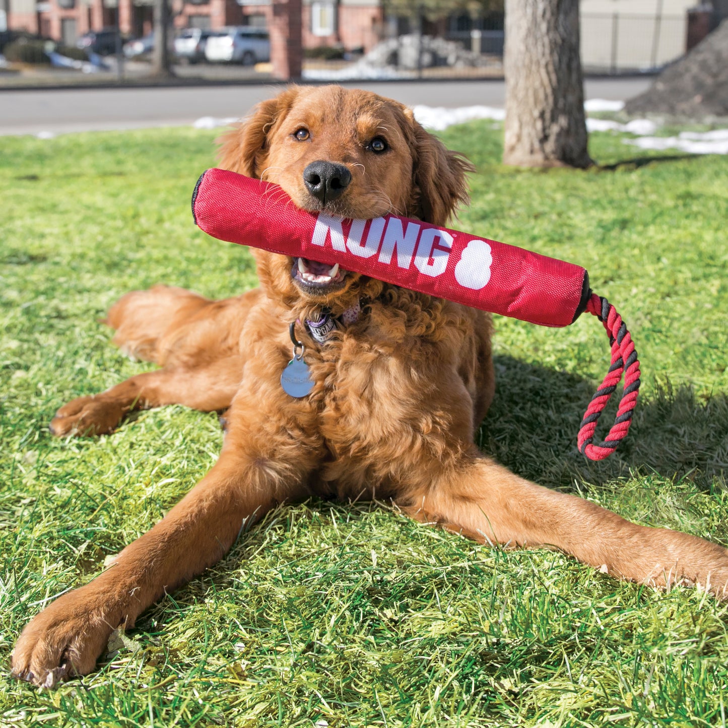 KONG SIGNATURE STICK W/ROPE