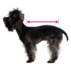 Charlton Cable Knit Dog Jumper - Deep Berry