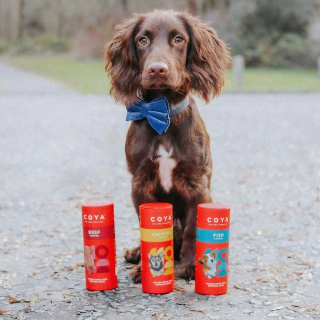 COYA Adult Dog Food Topper - Chicken 50g