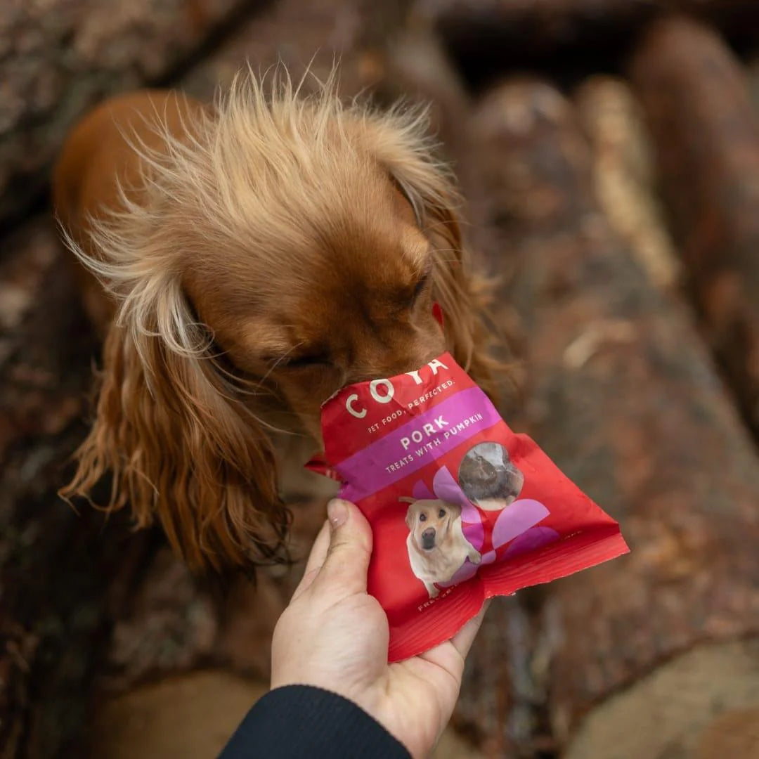 COYA Adult Dog Treats - Pork 40g