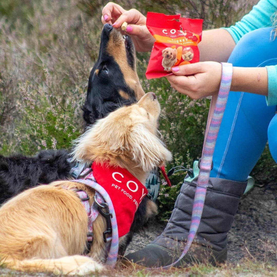 COYA Adult Dog Treats - Turkey 40g