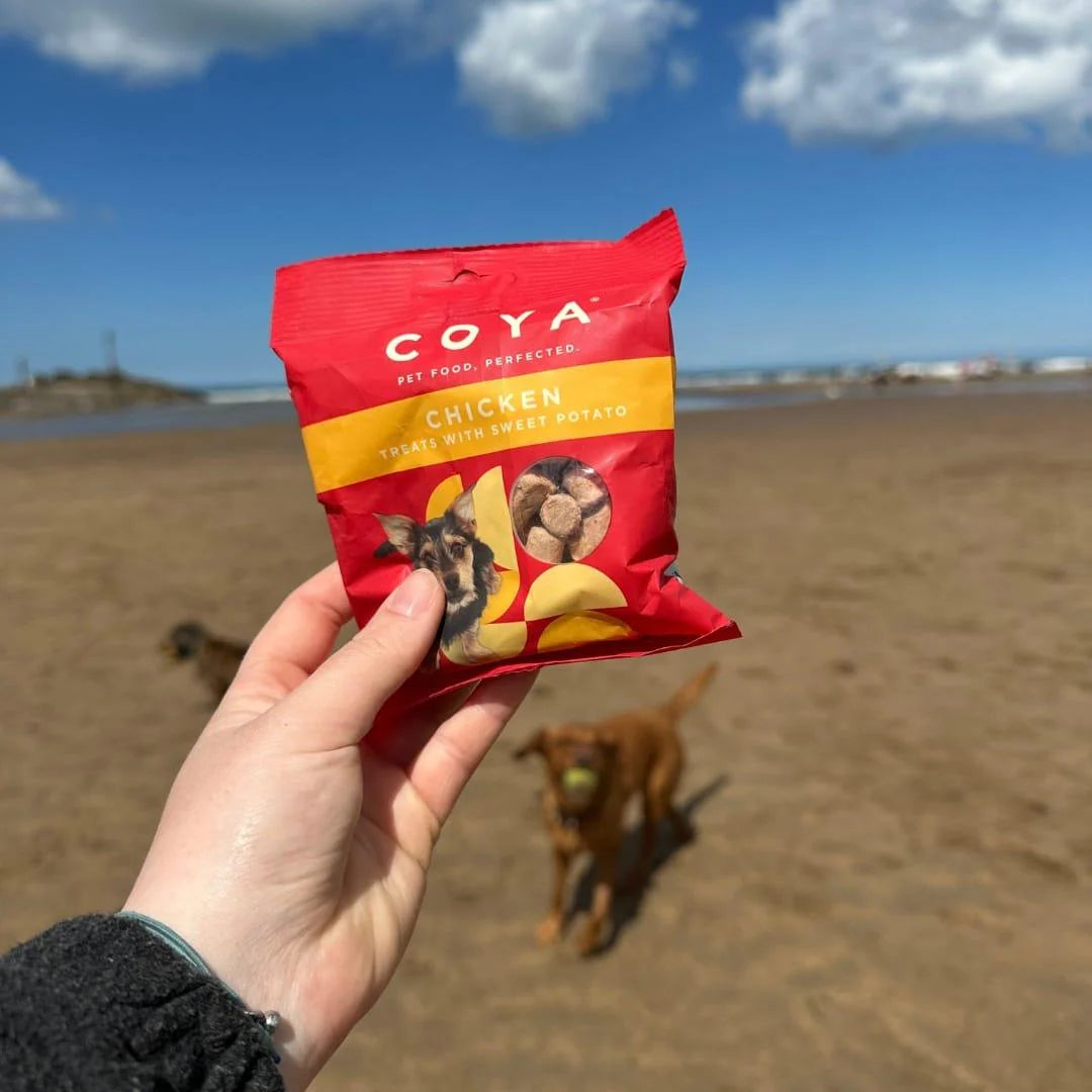 COYA Adult Dog Treats - Chicken 40g