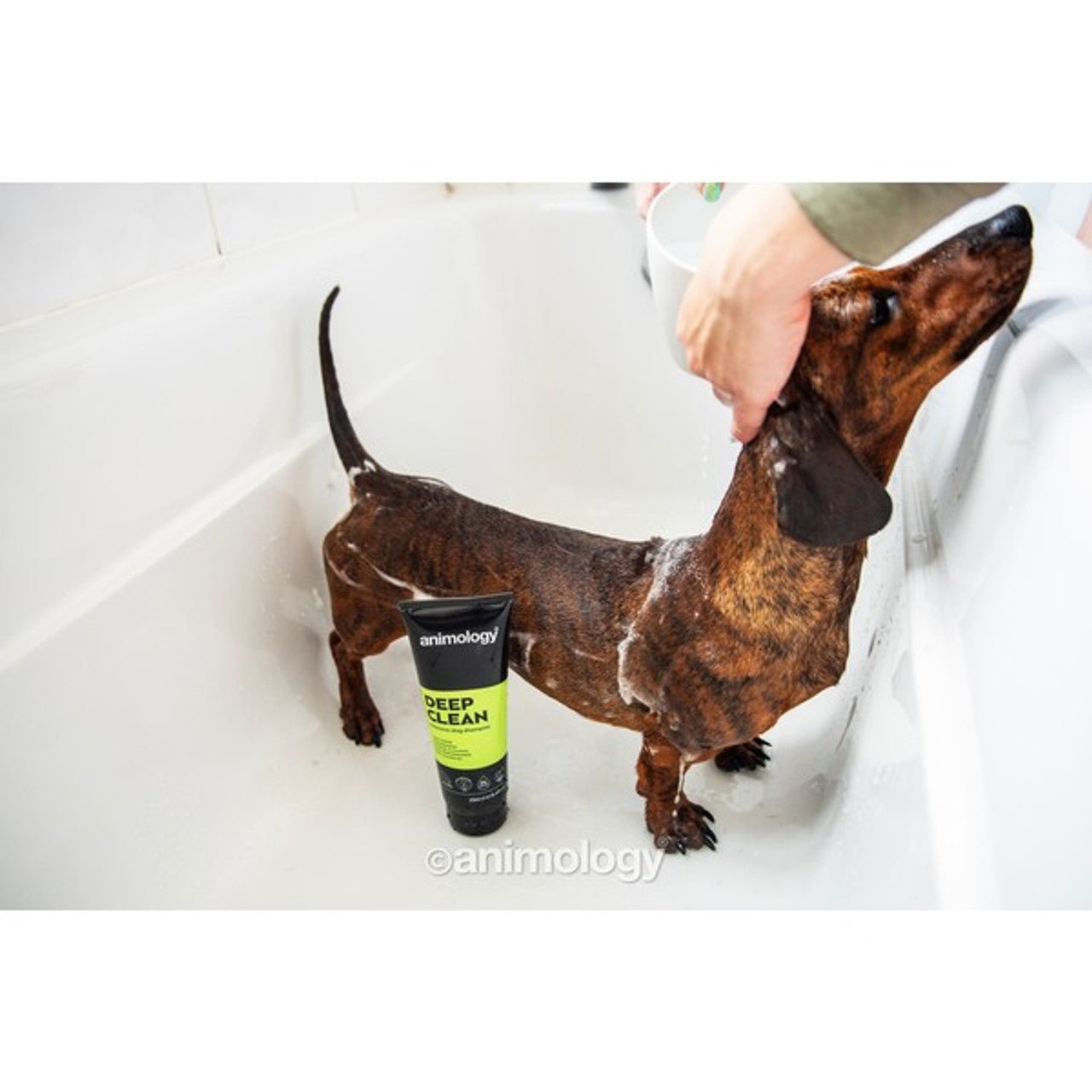 Animology Deep Clean Shampoo 250ml - Sniff & Bark