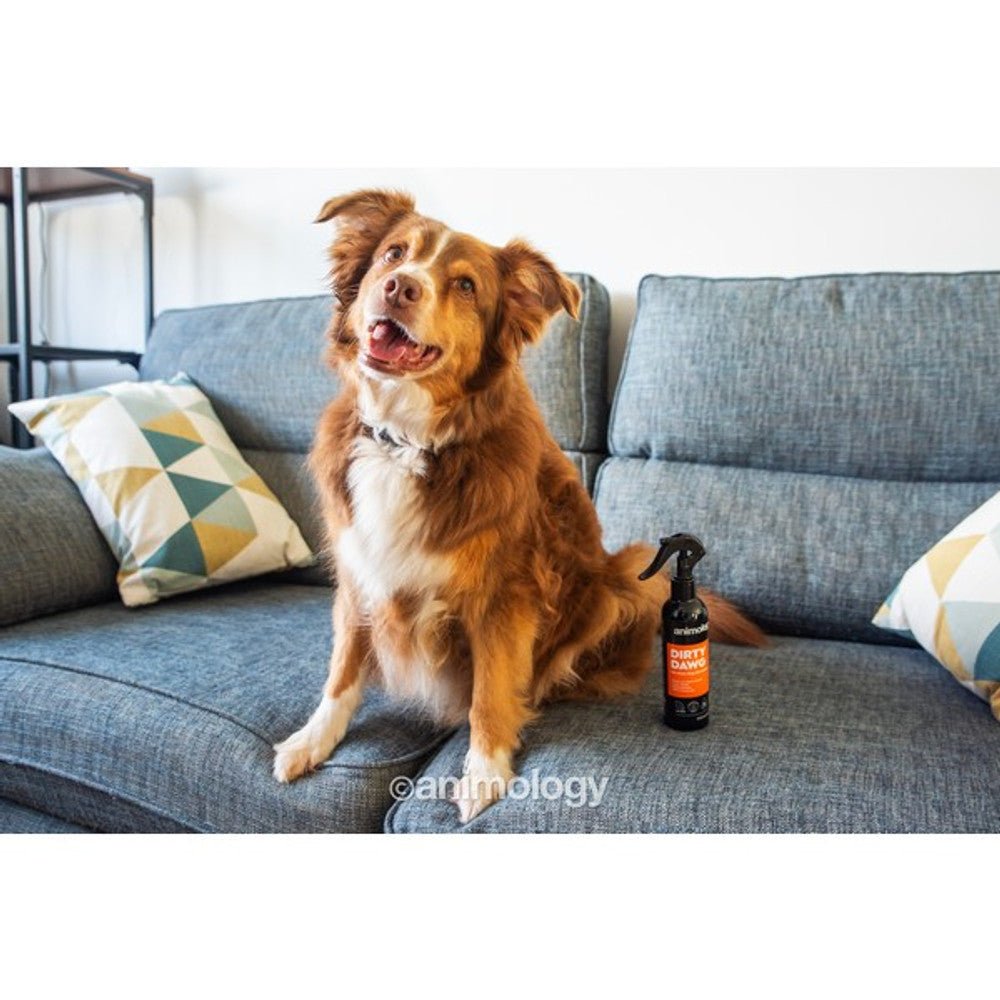 Animology Dirty Dawg No Rinse Shampoo - Sniff & Bark