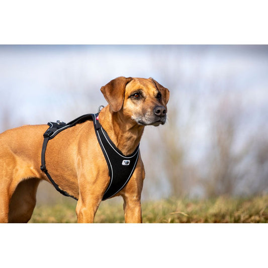 Belka Comfort Harness Black - Sniff & Bark