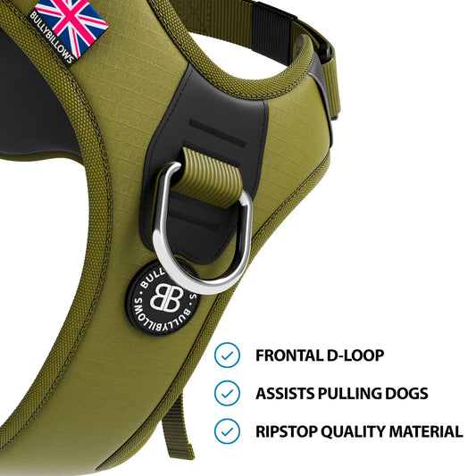 BullyBillows Hurricane Harness - Olive Green - Sniff & Bark