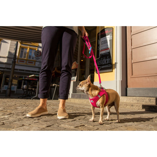 Curli Lead - Fuschia - Sniff & Bark