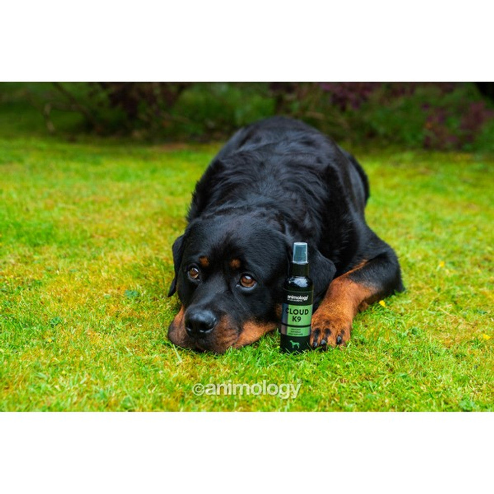 Animology Cloud K9 Fragrance Spray 150ml