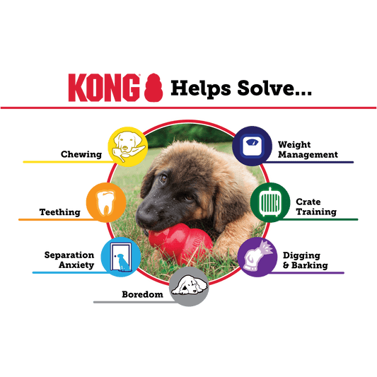 KONG SENIOR - Sniff & Bark