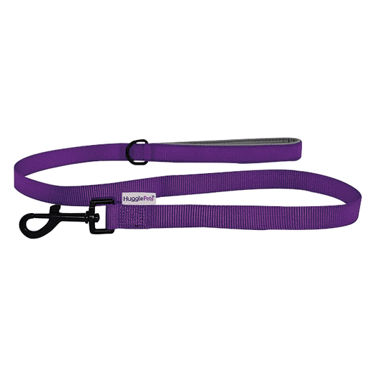 Padded Handle Dog Lead - Purple
