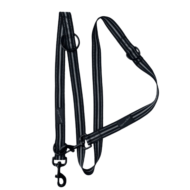 Sports Training Lead - Reflective - Black - Sniff & Bark