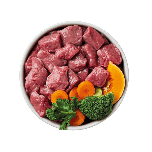 Is Raw Food REALLY Good for Dogs?  A Dog's Honest Truth - Sniff & Bark