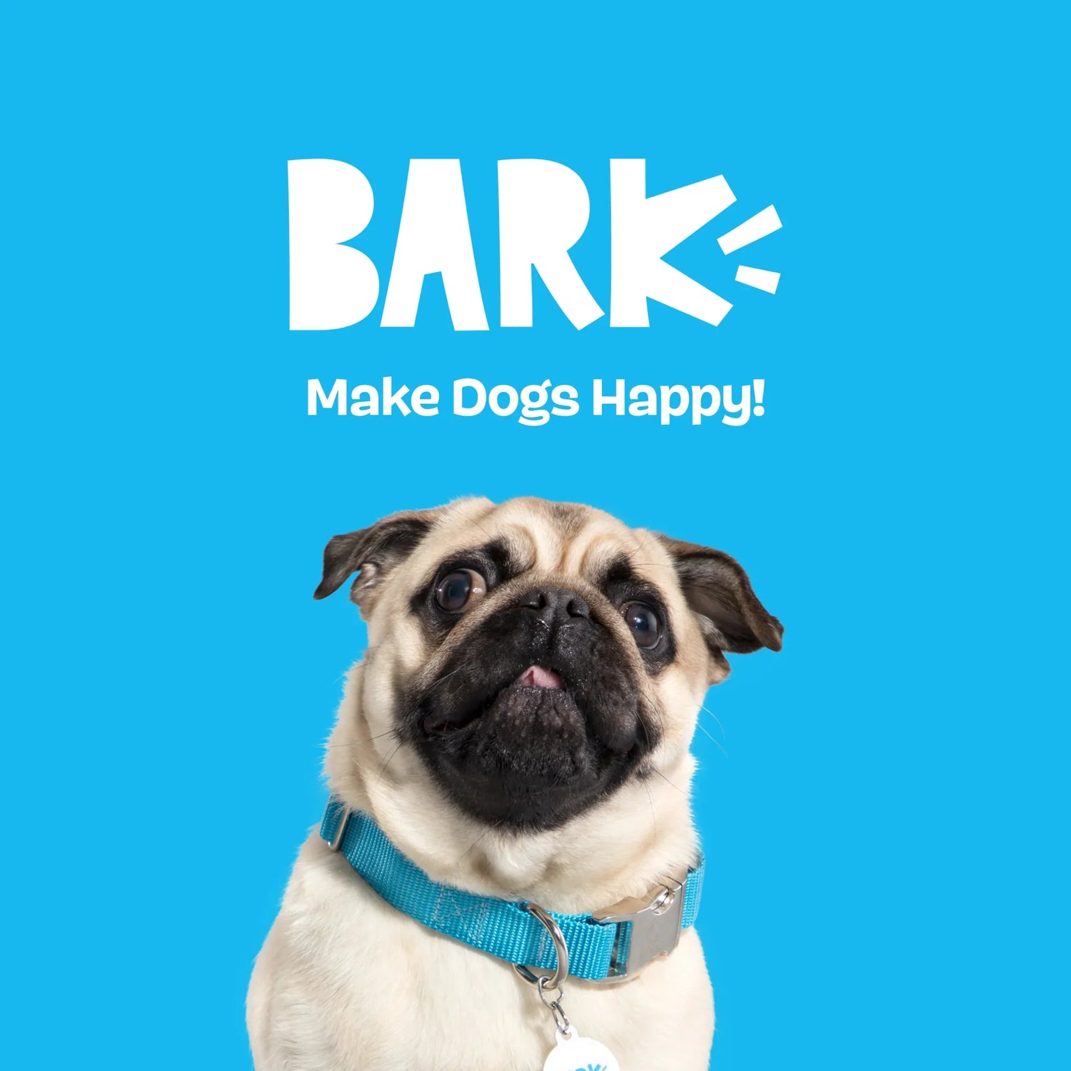 Bark Toys