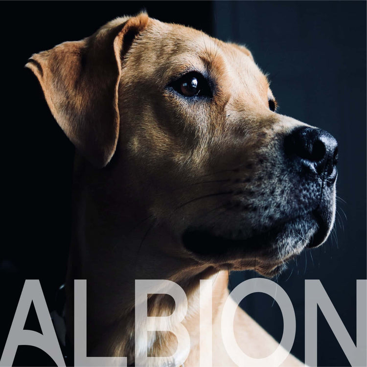 Albion Raw