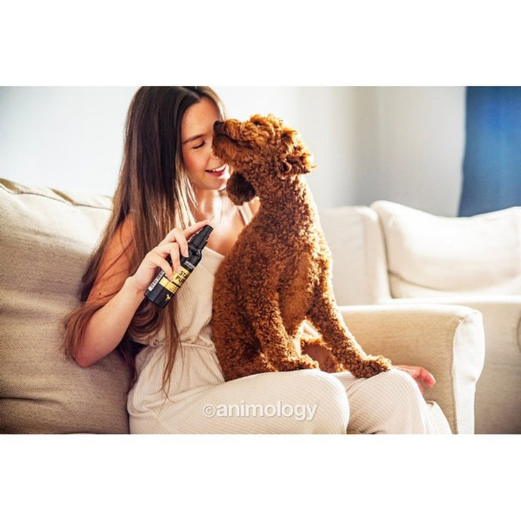 Scent Sprays & Balms - Sniff & Bark