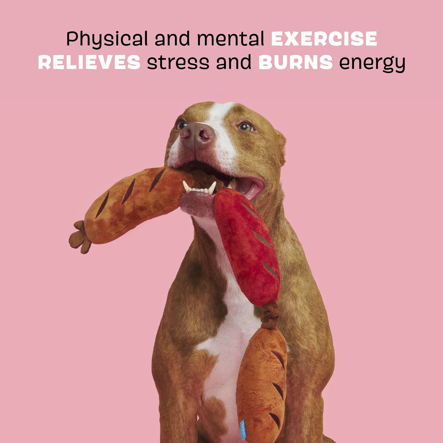 BARK Lickin’ Links Dog Toy