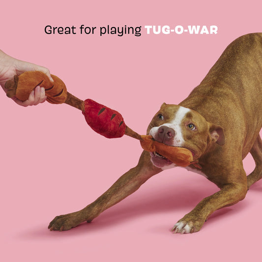 BARK Lickin’ Links Dog Toy