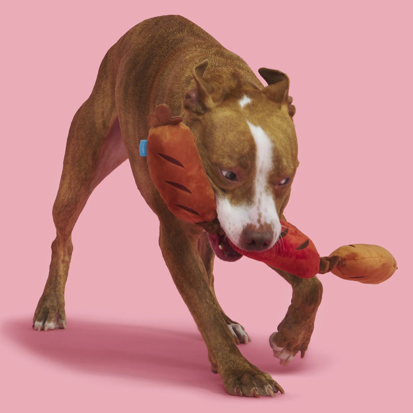 BARK Lickin’ Links Dog Toy