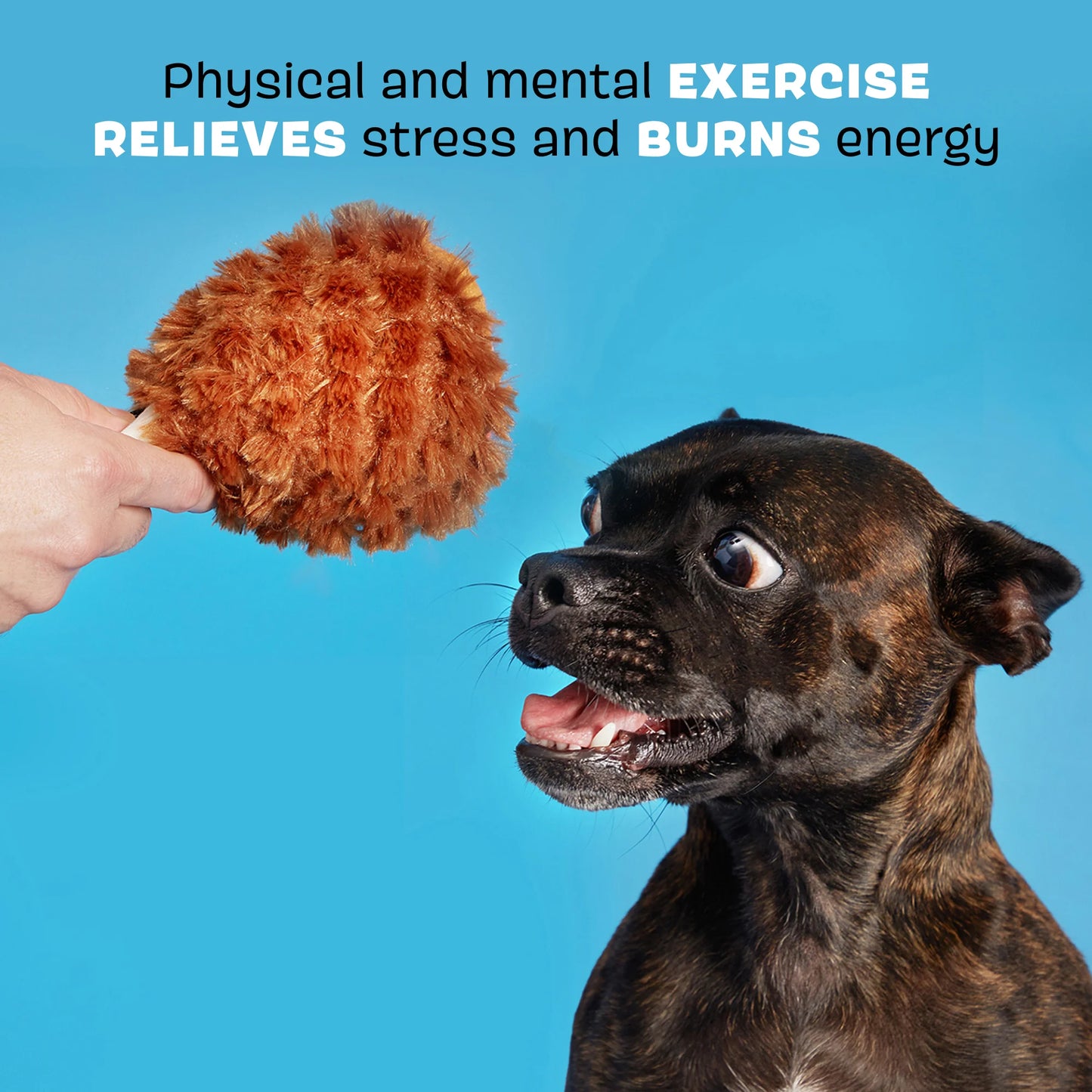 BARK Tavern Turkey Leg Dog Toy